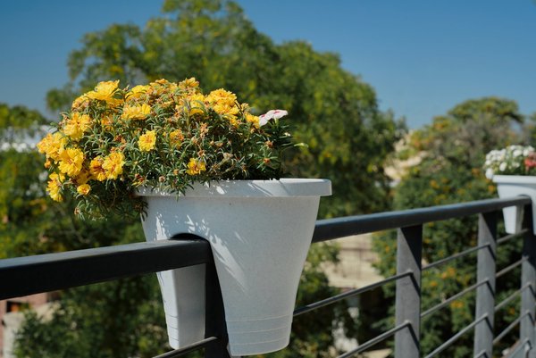 Revitalize your space with a stylish balcony flower box